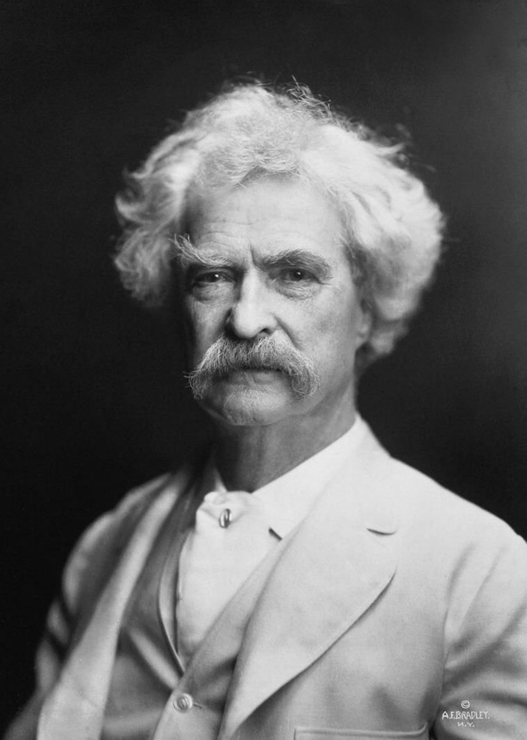 Mark Twain by AF Bradley
