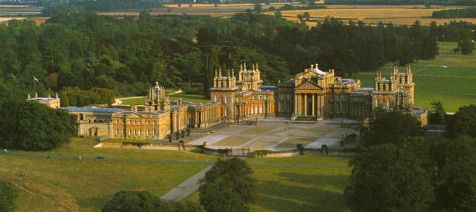 blenheim_closeup